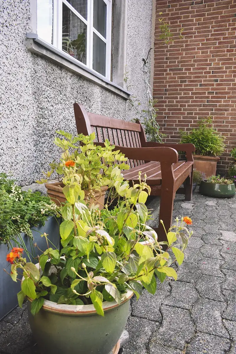 Hof Meyer zu Stieghorst - Rapsöl Manufaktur